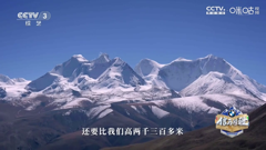 cctv3综艺