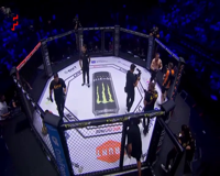 fightbox