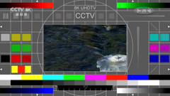 cctv-8k超高清