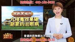广东新闻