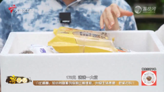 大湾区卫视