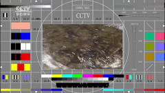 cctv-风云音乐