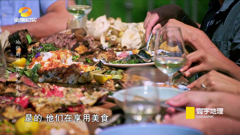 金鹰纪实